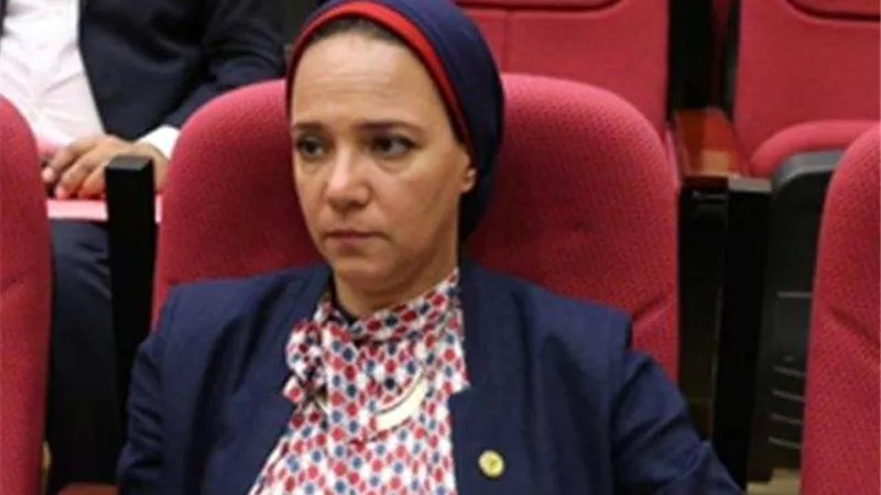 نانسي نصير: الصرف الصحي والطرق من أولوياتاتي فى دور الانعقاد الرابع