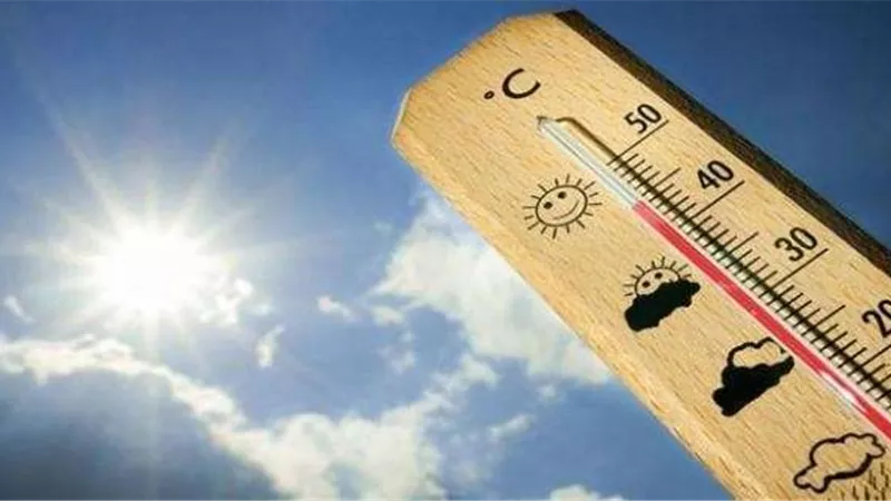 الطقس مائل للحرارة.. والعظمى بالقاهرة 33