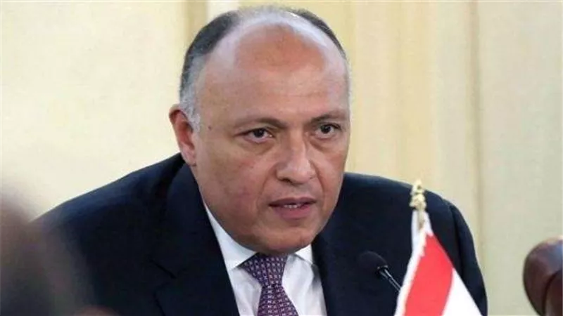 الخارجية: انعقاد قمة عربية أوروبية في مصر أمر مقرر سلفًا
