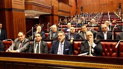 مستثمري العاشر من رمضان: التعديلات الدستورية تساعد على زيادة الاستثمار