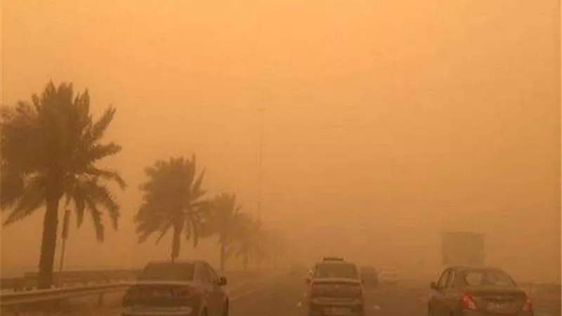 هاني الناظر يقدم نصائح لمرضى الحساسية لمواجهة طقس الجمعة والسبت