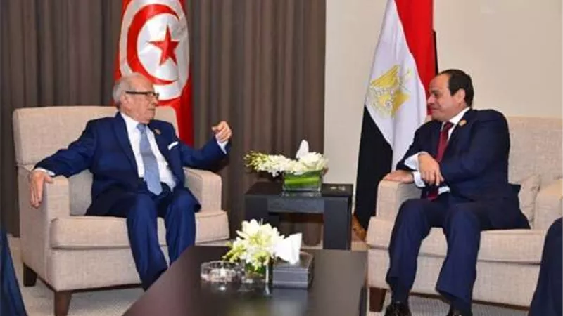 السبسي يمدح مصر وشعبها خلال القمة العربية بتونس