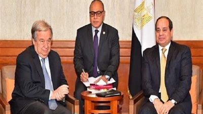 بينها التصدي للإرهاب.. أبرز ملفات مباحثات السيسي وسكرتير الأمم المتحدة