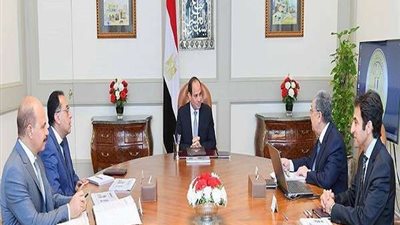 السيسي يناقش تطوير منظومة الكهرباء في مصر
