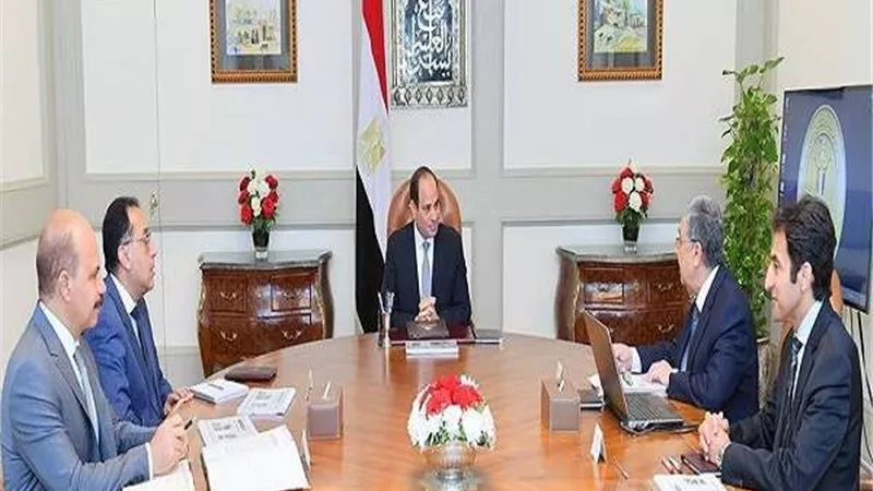 السيسي يناقش تطوير منظومة الكهرباء في مصر