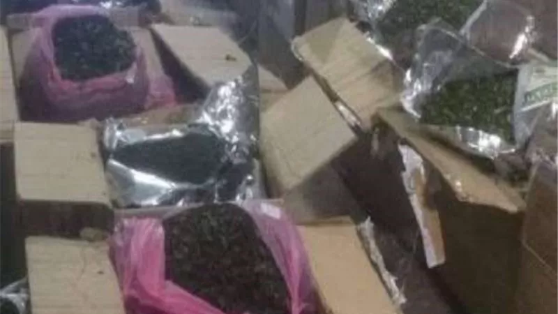 الجمارك تحبط محاولة تهريب مواد مخدرة بمطار القاهرة