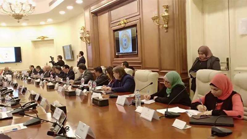 بالصور.. التنمية المحلية تعقد ورشة عمل للمانحين الدوليين