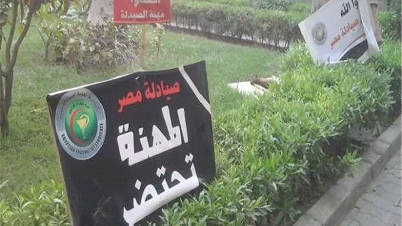 مصير مجهول لانتخابات الصيادلة بعد فرض الحراسة على النقابة