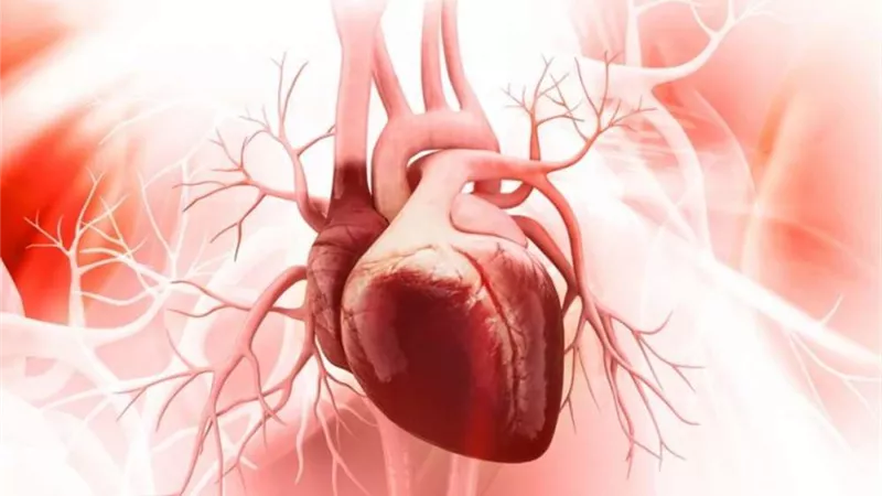 بهذه الأطعمة إحمي نفسك من انسداد شرايين القلب