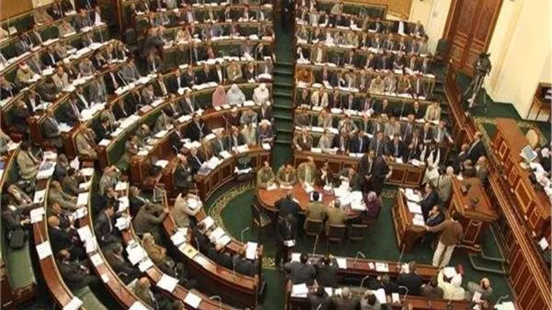 لجنة العلاقات الخارجية بالبرلمان تناقش قضية مكافحة الهجرة غير الشرعية