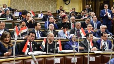 برلماني: المشاركة في الاستفتاء الدستوري تعكس درجة وعي المواطنين