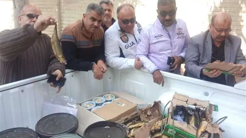 ضبط ربع طن رنجة غير صالحة للاستخدام الآدمي بحى الزهور ببورسعيد