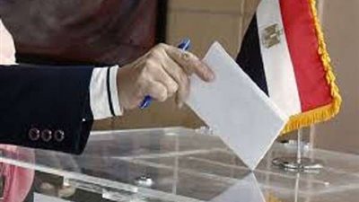 بالتفاصيل.. من يحق له دخول اللجان الانتخابية في استفتاء الدستور