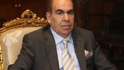 شباب الوفد بالقليوبية يقدمون الإرشادات للمشاركين في الاستفتاء على الدستور