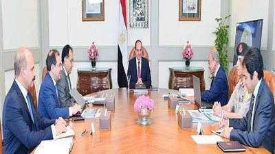 السيسي يوجه بتطوير صناعة البتروكيماويات لمواكبة السوق العالمي