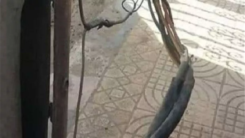 كابلات كهرباء عارية تهدد حياة الأهالى بكفر الزيات