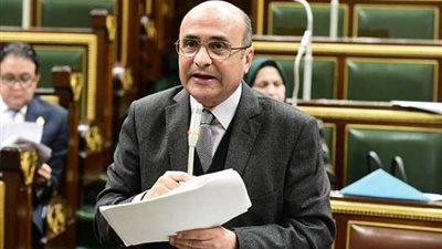 وزير شئون مجلس النواب: حقوق الإنسان في مصر تدعم استراتيجية التنمية