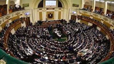 الخولي: المشاركة بالاستفتاء أبلغ رد على من يروج لفكرة مقاطعة الشباب