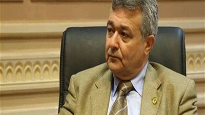 برلماني: زيارة السيسي للدول الخارجية تنعش السياحة المصرية