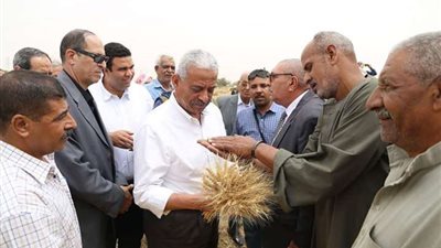 محافظ السويس يفتتح موسم حصاد القمح بالمحافظة