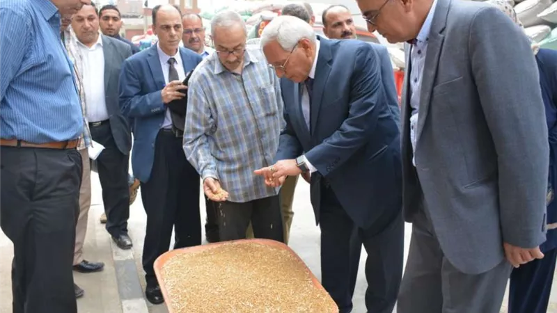 محافظ الدقهلية يتفقد صومعة ميت غمر