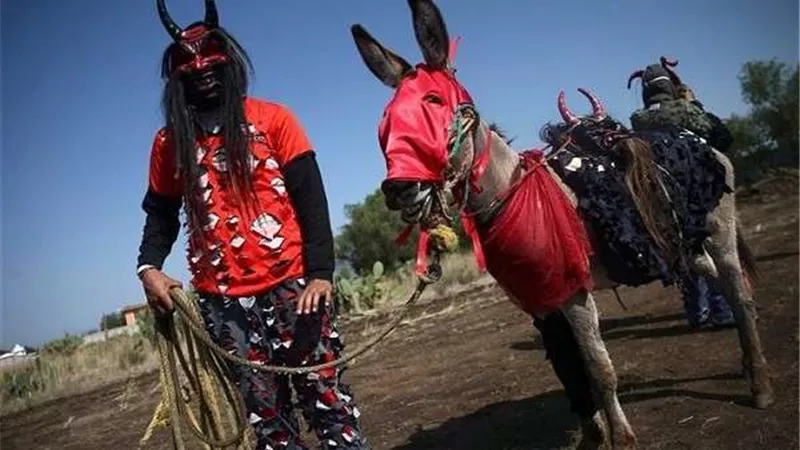 جلودها منشطات جنسية ..معلومات لاتعرفها عن الحمير فى يومها العالمي