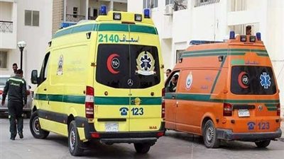 إصابة قائد سيارة في حادث تصادم بالدقهلية