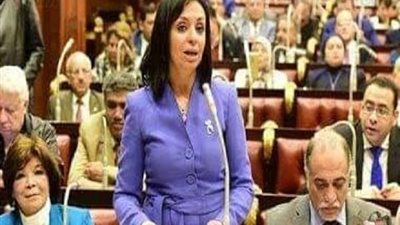 مايا مرسي: دول العالم تنظر بشكل إيجابي لاستحقاقات المرأة المصرية