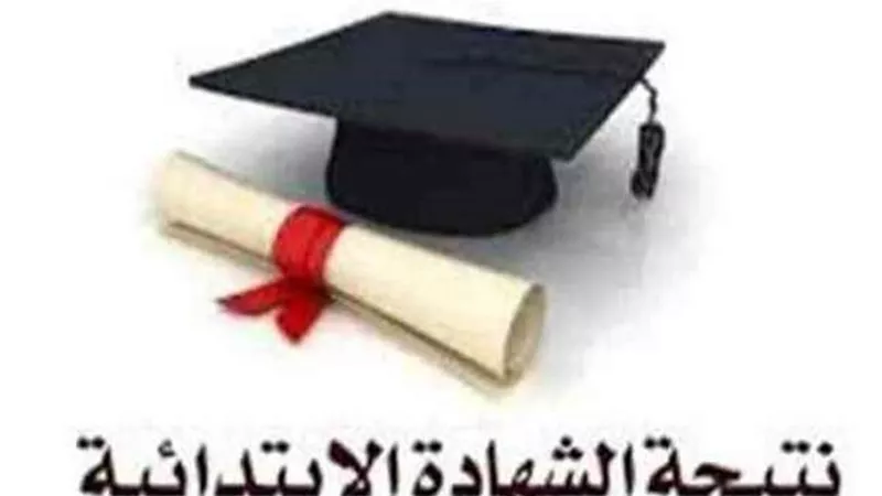 اعرف نتيجة الصف السادس الابتدائي الترم الثاني