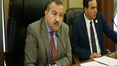 العماري: حل أزمة تكليف الأطباء دفعة 2017 في يد وزيرة الصحة