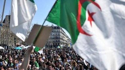 بالفيديو.. محلل جزائري: لا يوجد حزب يحظى بثقة الشارع لخوض الانتخابات