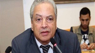 خبير سياسي: الحزب الوطني سبب اختفاء الأحزاب على أرض الواقع