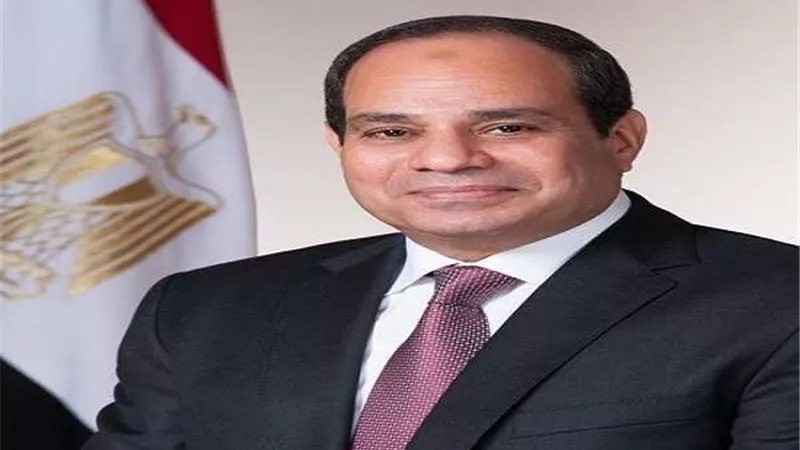 برلمانية: السيسي يهتم دائمًا بما يحدث في القارة السمراء