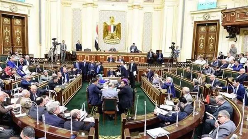 ممثلو محافظة دمياط يطالبوا البرلمان بزيادة الموازنة العامة