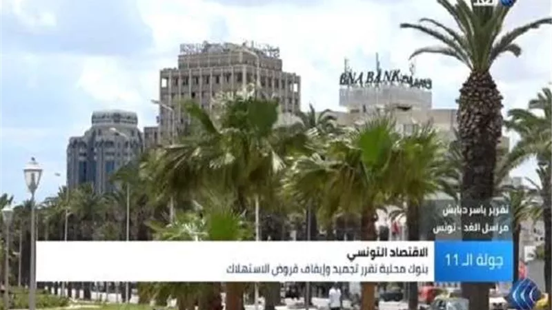 وزير التجارة التونسي: قيود البنوك على القروض الاستهلاكية عائقًا لصنع النمو