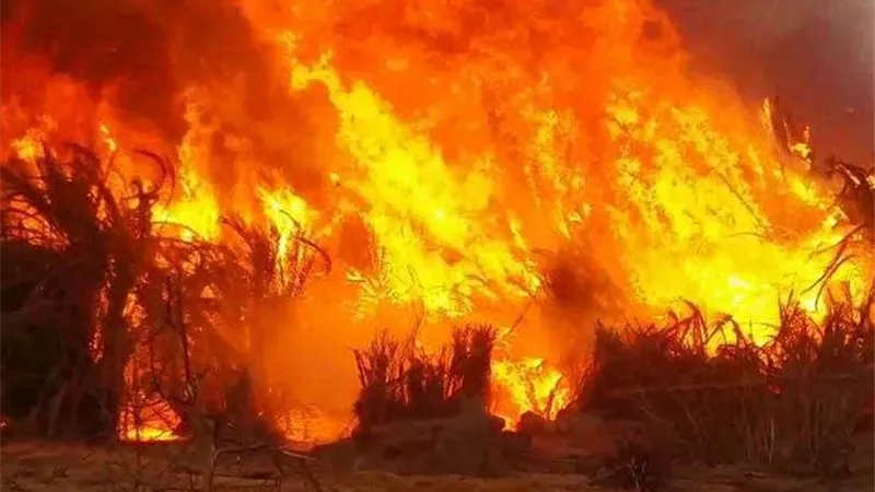 السيطرة على حريقين بسبب حرارة الجو في كفر الشيخ