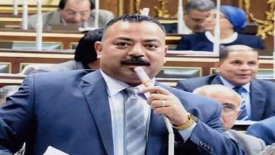 حقوق إنسان النواب: سنكشف إدعاءات هيومان رايتس ضد مصر في المحافل الدولية