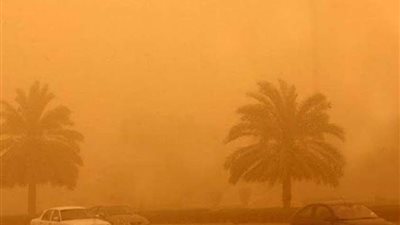 عواصف ترابية تضرب عدة مناطق في الوادى الجديد