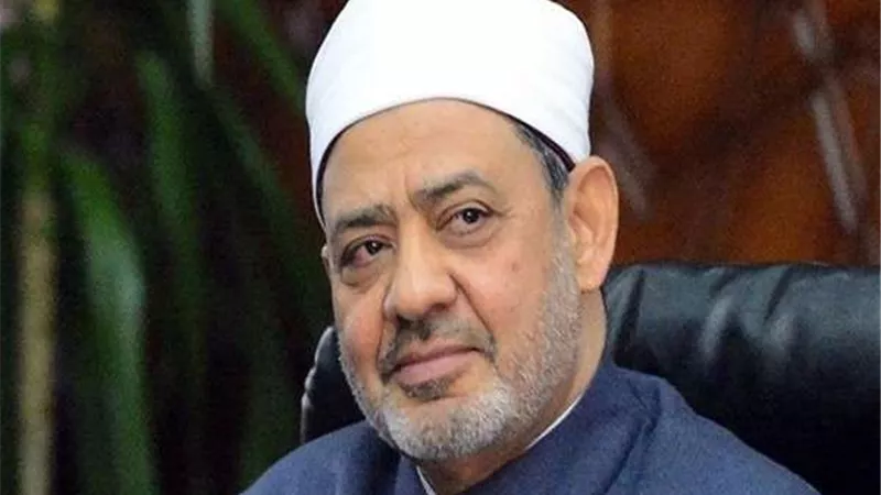 شيخ الأزهر يطالب بتشريعات  تمنع ضرب الزوجة والأطفال