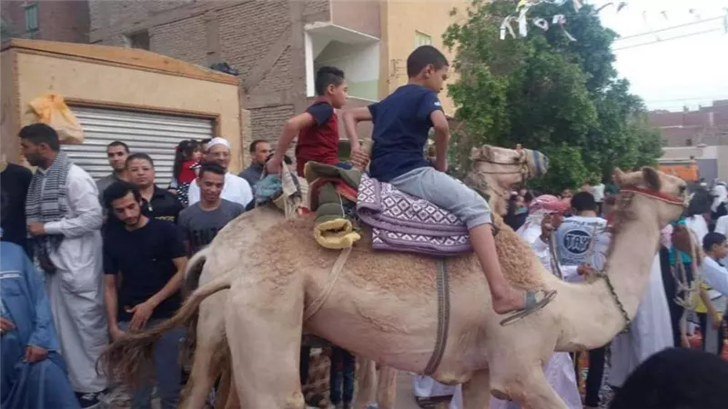 ركوب الجمال أبرز مظاهر إحتفالات الأطفال بالعيد فى الوادي الجديد