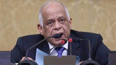 عبد العال: لن تزال قرية مأهولة بالسكان