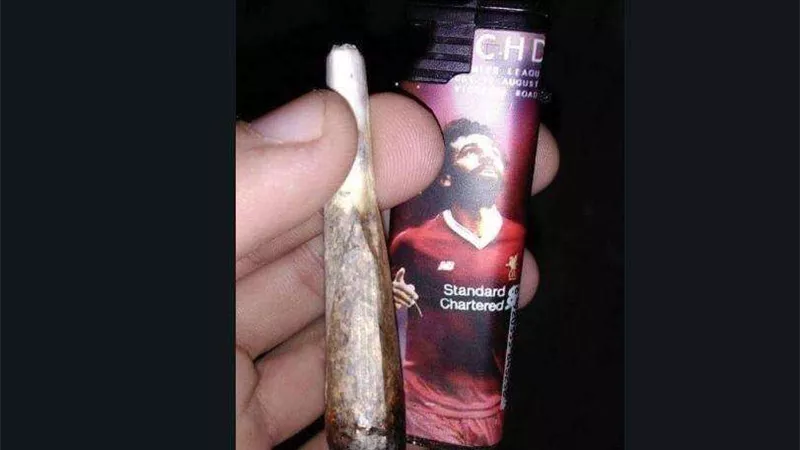 أنصار 