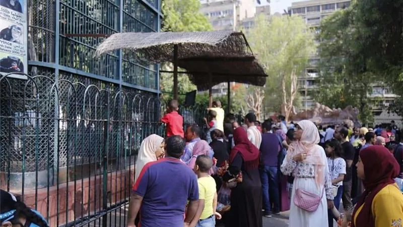 بالصور.. إقبال كبير من المواطنين على حديقة الحيوان في أخر أيام عيد الفطر