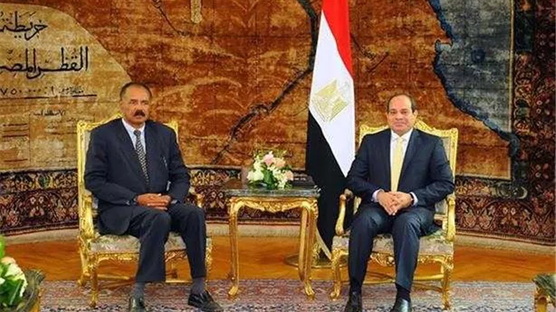 من عبد الناصر لـ السيسي.. تاريخ حافل للعلاقات المصرية الإريترية