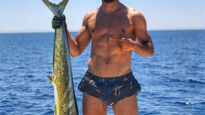 صلاح يشعل 