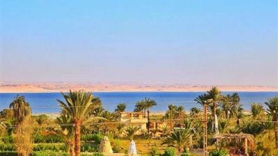 استمرار قطار التنمية بالفيوم.. ونائب 10 مليار لإعادة الحياة لبحيرة قارون