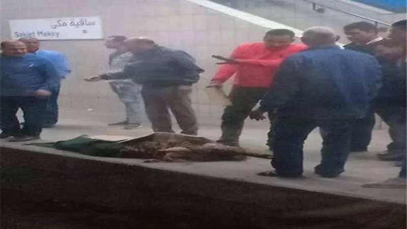 مصدر أمني يكشف مفاجأة في واقعة منتحرة مترو ساقية مكي