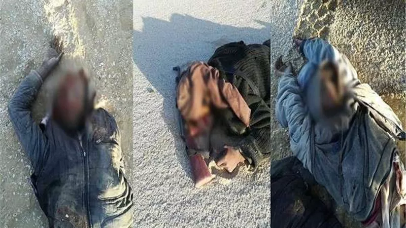 القضاء على خلية إرهابية غرب البلاد وتصفية 8 من عناصرها