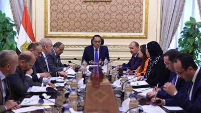 رئيس الوزراء يعقد اجتماعًا لبحث خطوات استغلال أراضي الساحل الشمالي