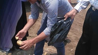 إعدام 200 كيلو أغذية فاسدة وتحرير 6 محاضر جنح صحية بالدقهلية
